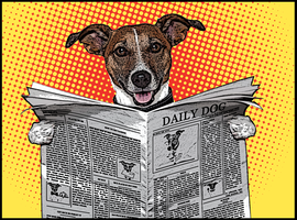 raspberry pi print server wifi