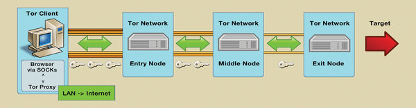 tor browser raspberry pi мега