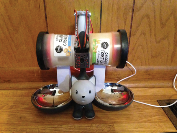 Automatic cat feeder raspberry pi outlet